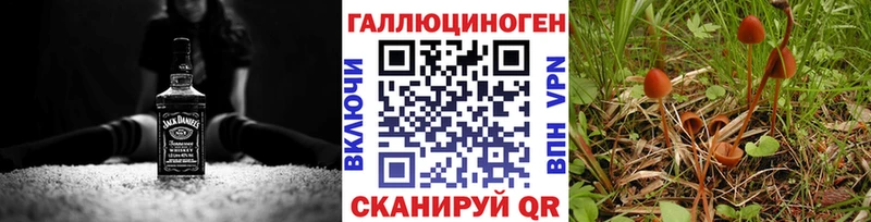 OMG tor  как найти закладки  Новопавловск  Галлюциногенные грибы MAGIC MUSHROOMS 